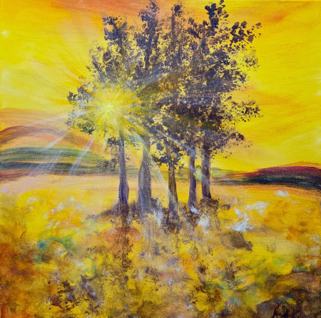 40x40cm, 60€